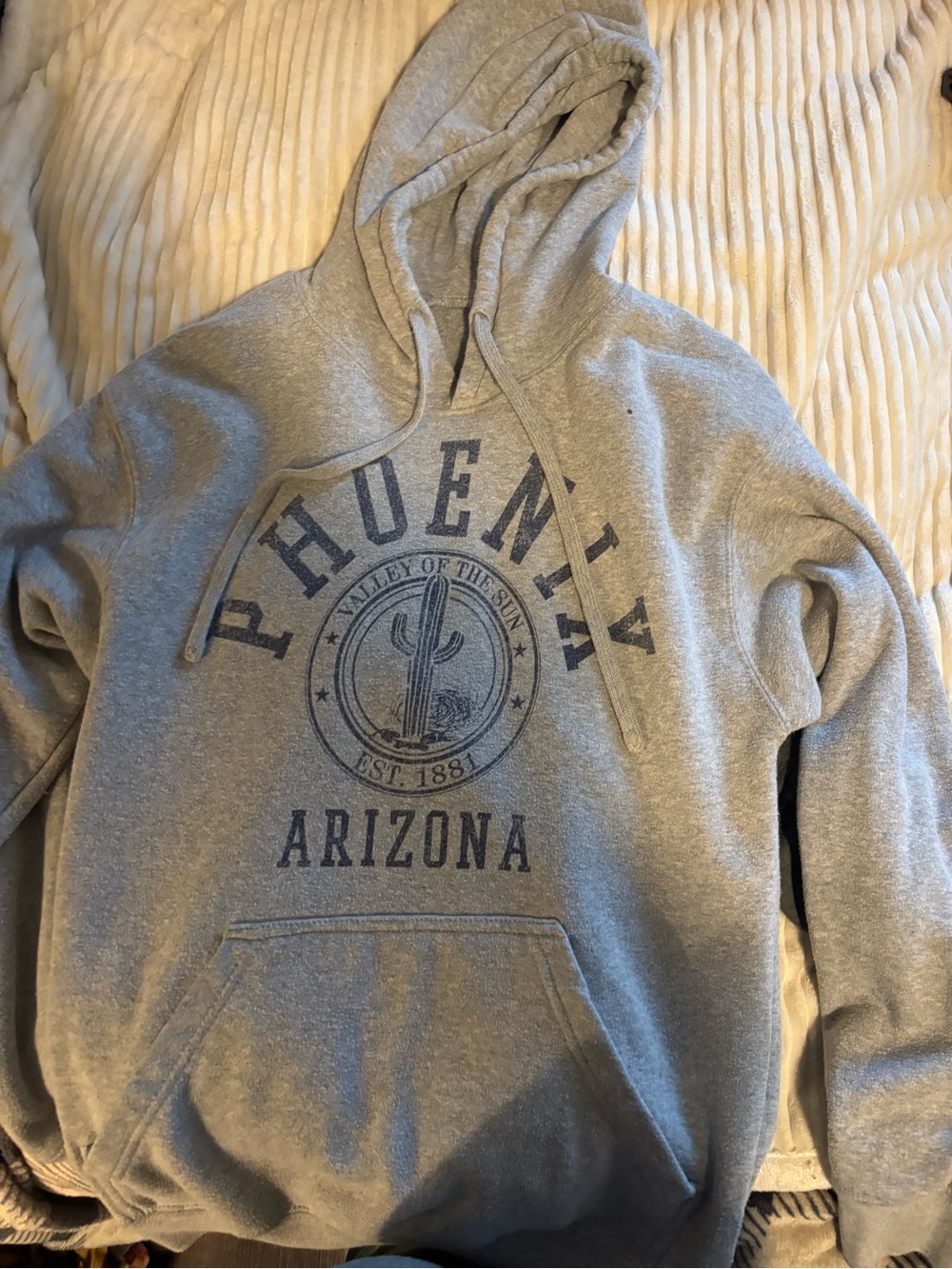Phoenix Arizona Grey Graphic Hoodie